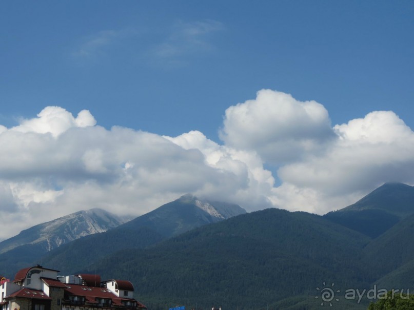 Горы. Сосны. Белки. И минус семь килограммов!