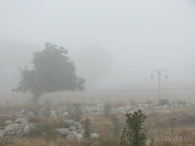 Горы. Сосны. Белки. И минус семь килограммов!