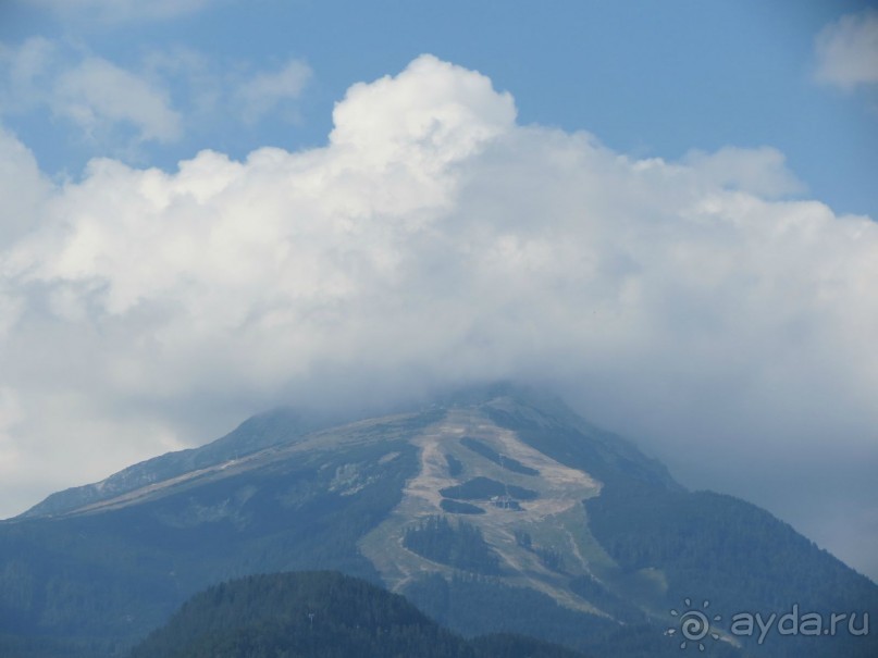 Горы. Сосны. Белки. И минус семь килограммов!