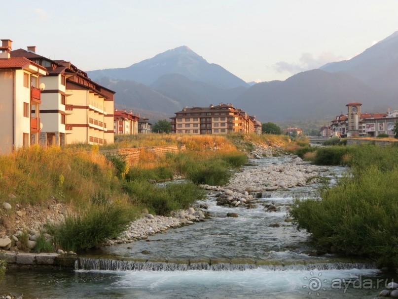 Горы. Сосны. Белки. И минус семь килограммов!