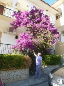 райский уголок