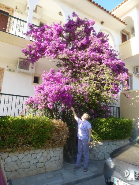 райский уголок