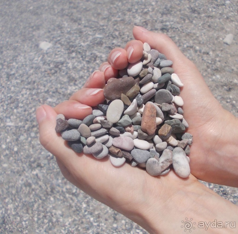 летопись зануды