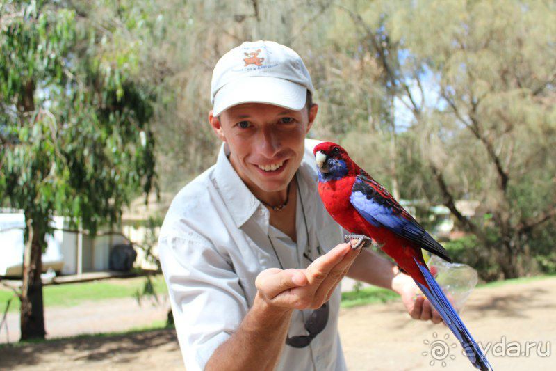 Русский гид в Австралии Сергей Яшумов