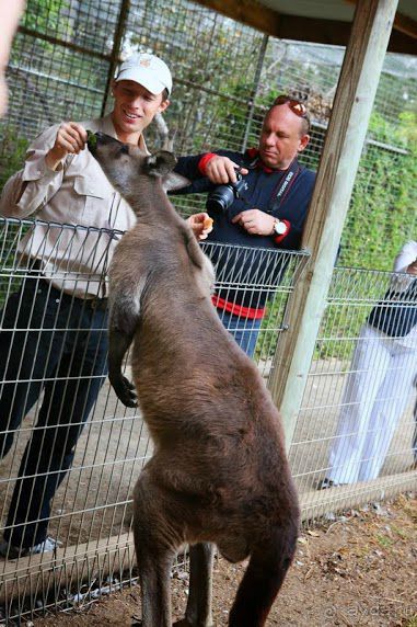 Русский гид в Австралии Сергей Яшумов