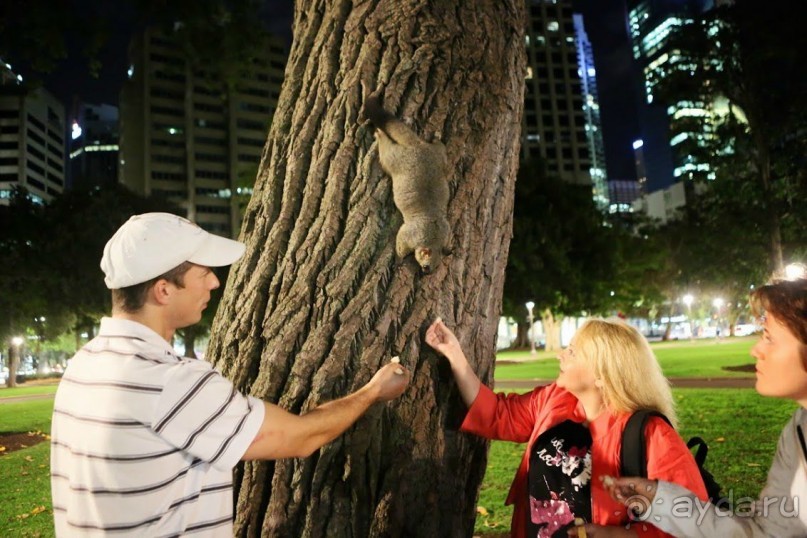 Русский гид в Австралии Сергей Яшумов