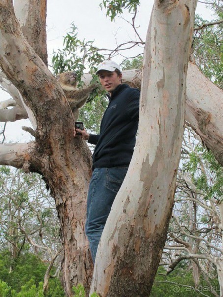 Русский гид в Австралии Сергей Яшумов