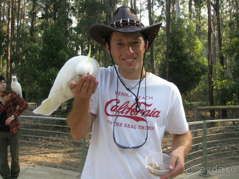 Русский гид в Австралии Сергей Яшумов