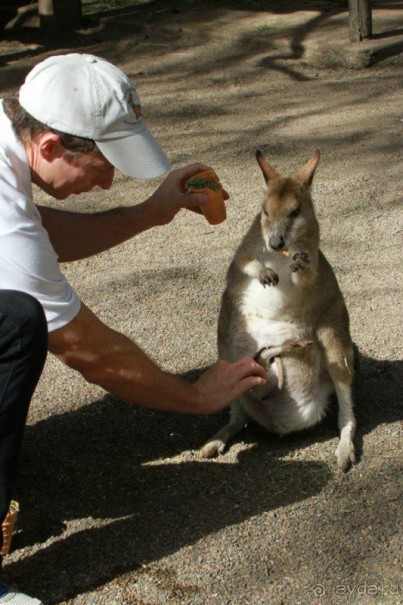 Русский гид в Австралии Сергей Яшумов