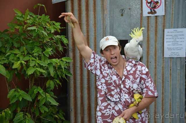 Русский гид в Австралии Сергей Яшумов