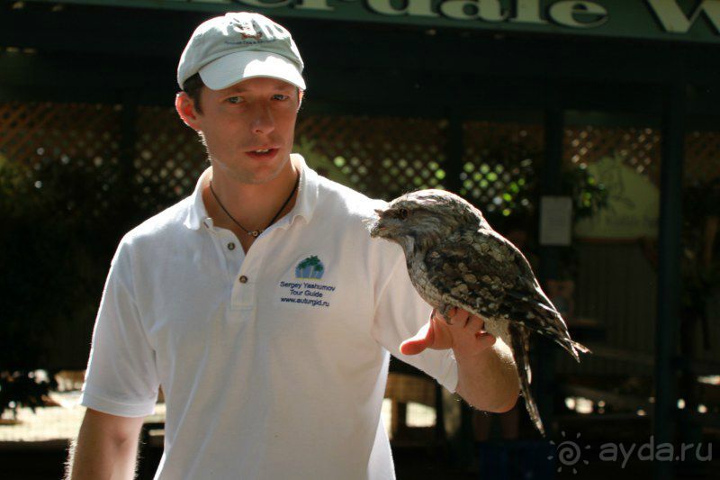 Русский гид в Австралии Сергей Яшумов