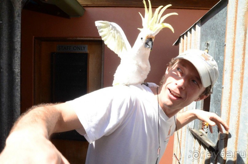 Русский гид в Австралии Сергей Яшумов