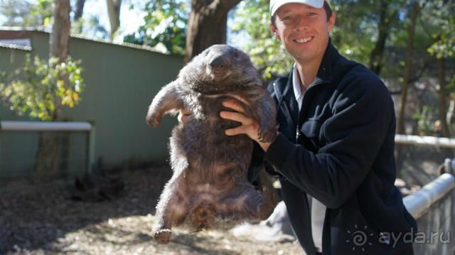 Русский гид в Австралии Сергей Яшумов