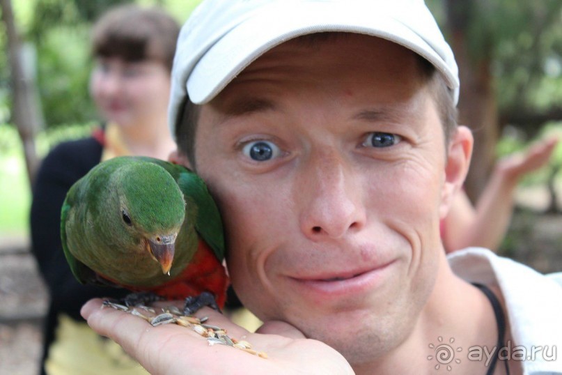 Русский гид в Австралии Сергей Яшумов