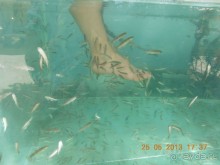 отель для семейного отдыха