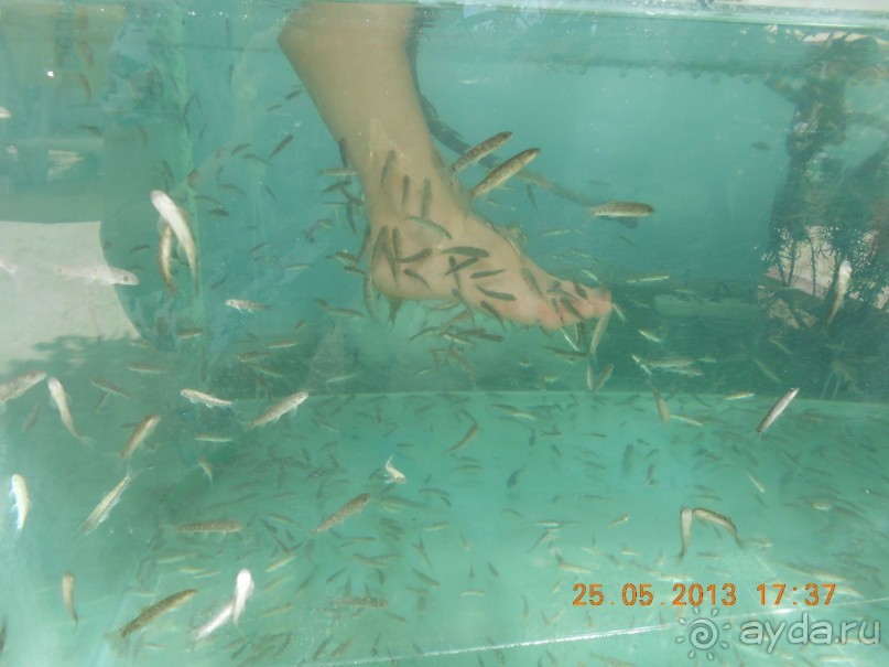 отель для семейного отдыха