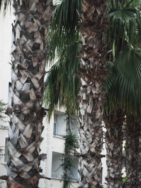 отель для семейного отдыха