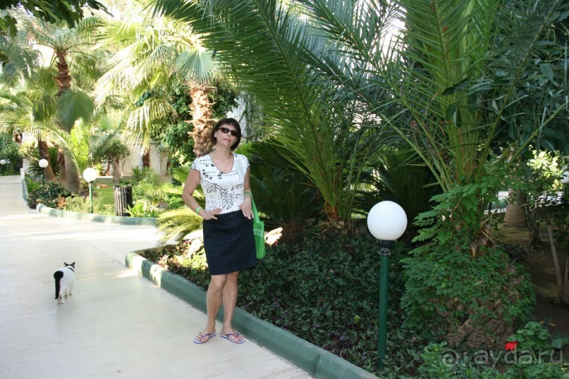 райский уголок