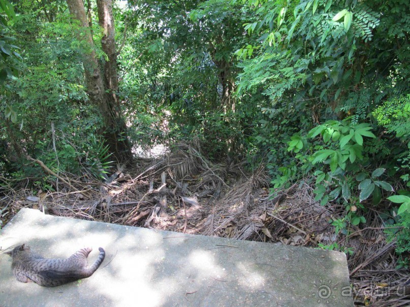 Поездка в Краби