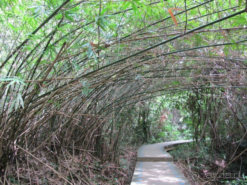 Поездка в Краби