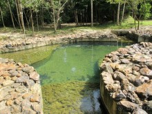 Поездка в Краби