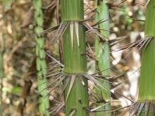 Поездка в Краби