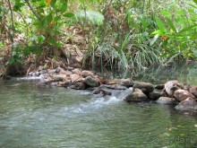 Поездка в Краби
