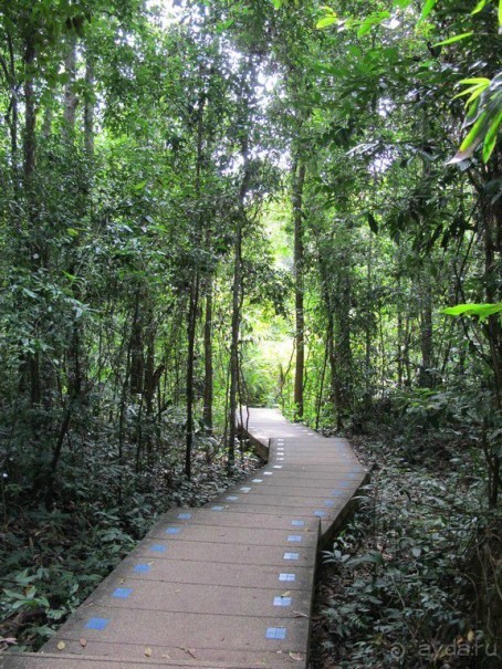 Поездка в Краби