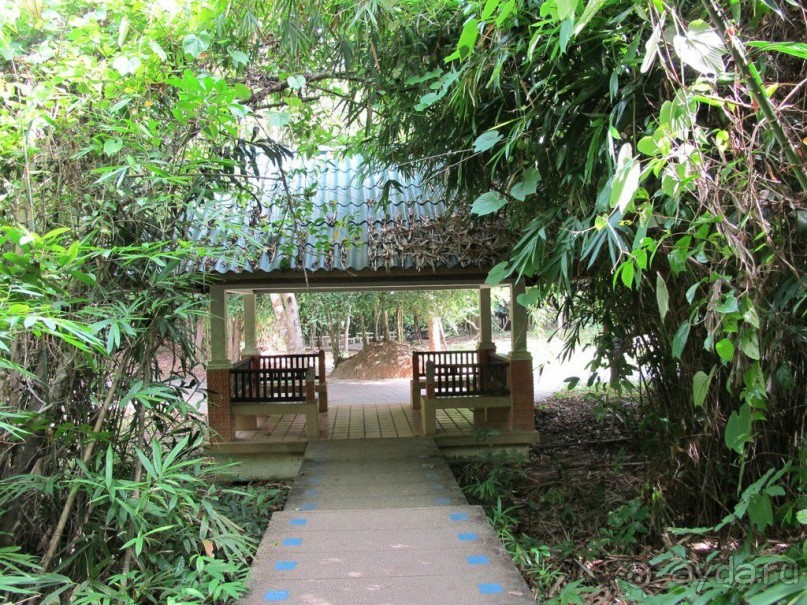 Поездка в Краби