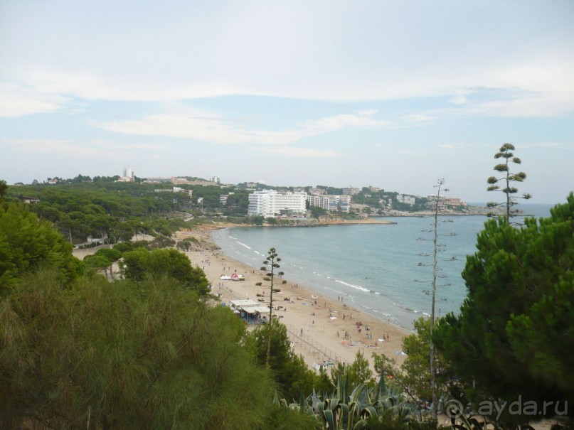 ВСЕ ЗДОРОВО!