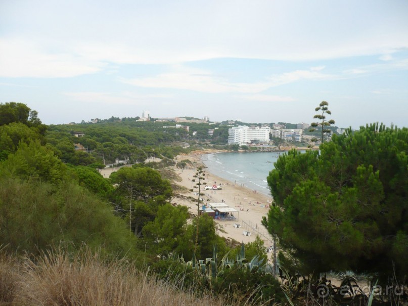 ВСЕ ЗДОРОВО!