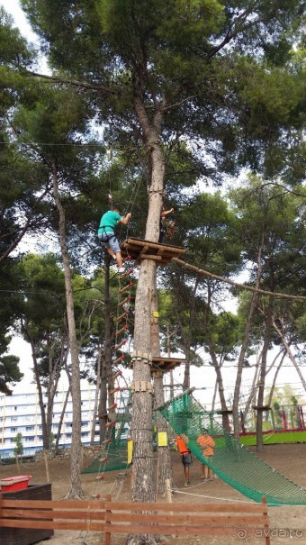 ВСЕ ЗДОРОВО!