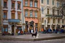 Львов. Украина