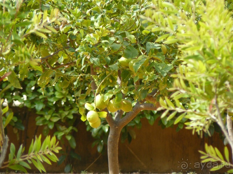 Спокойный отдых