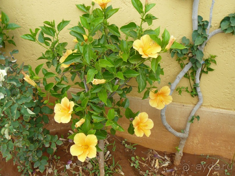 Спокойный отдых