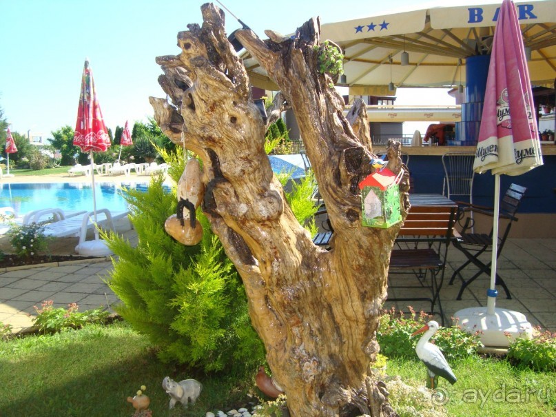 Отличный отель!