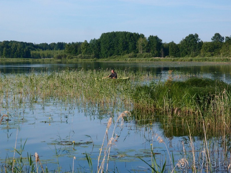фото Ботово