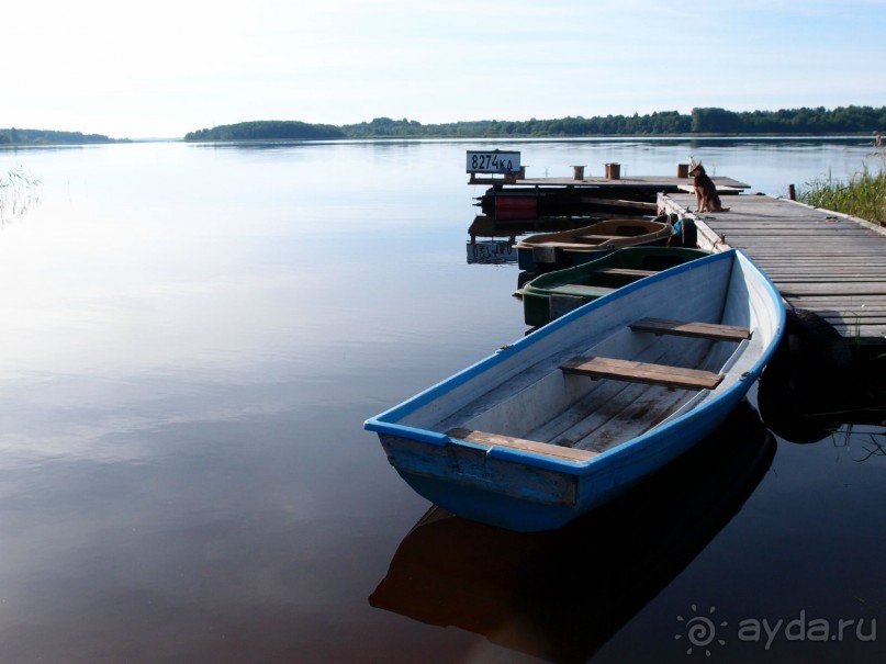 фото Ботово