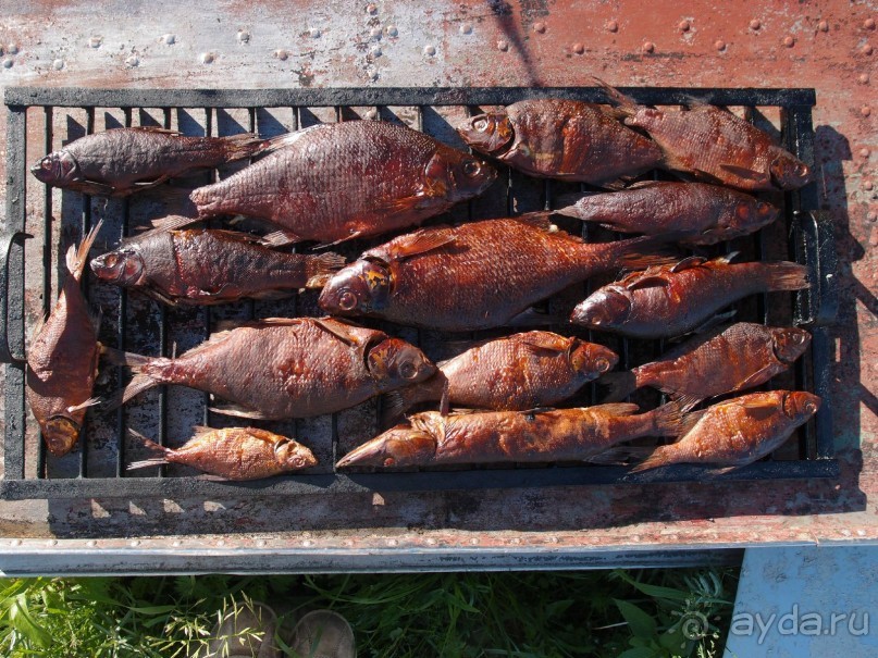 фото Ботово