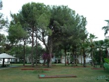 Нормальный отель