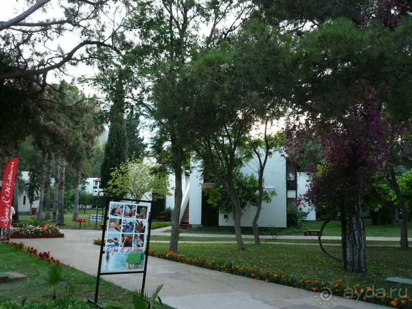 Нормальный отель