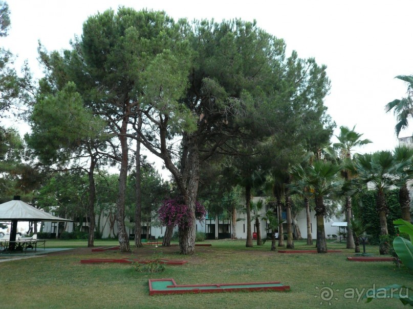 Нормальный отель