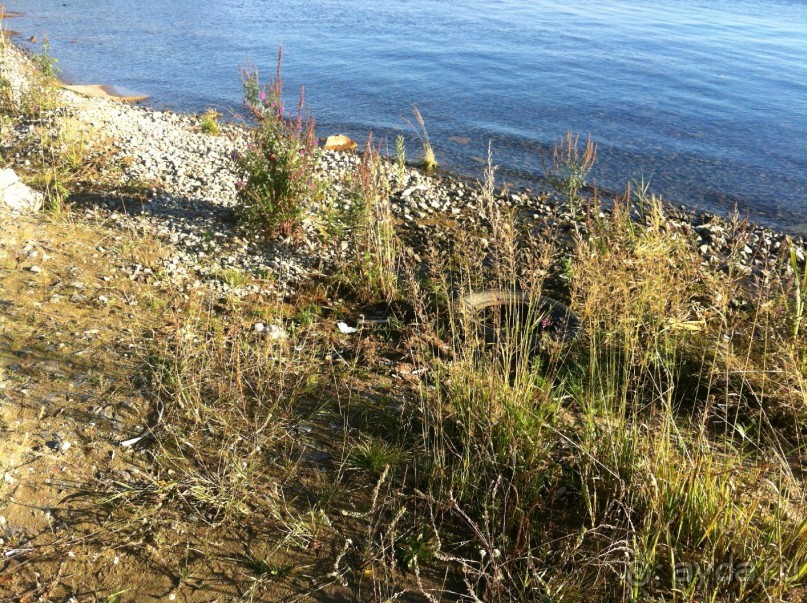 Санаторий Увильды