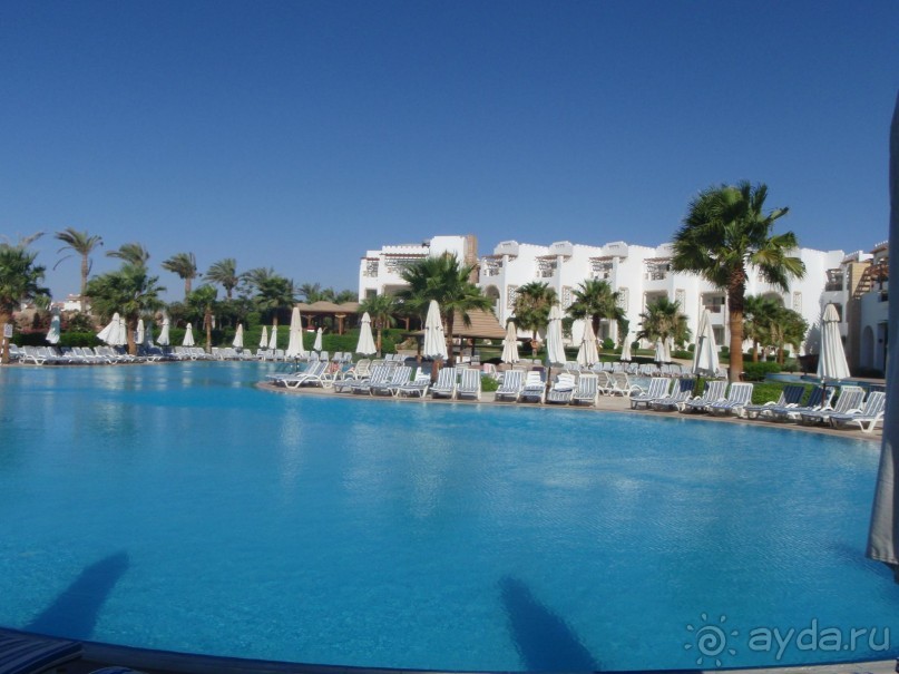 По Сеньке шапка...