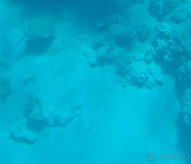 По Сеньке шапка...