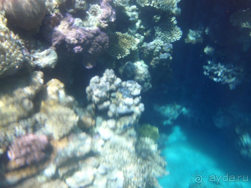 По Сеньке шапка...