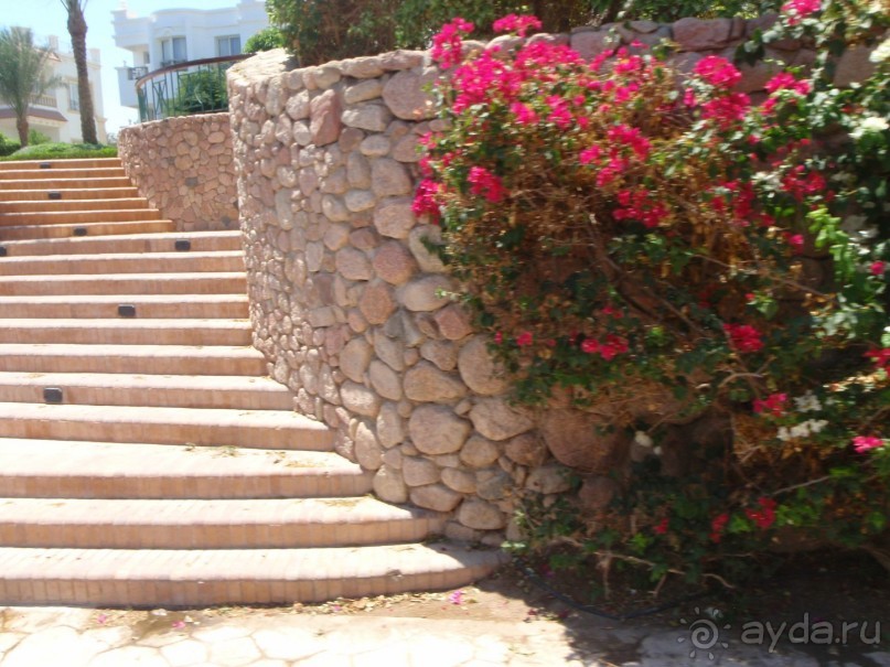 По Сеньке шапка...