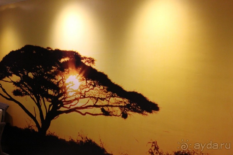 Супер отель для семейного отдыха!