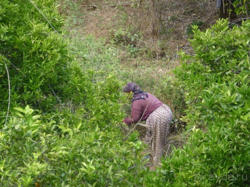 Наш отдых в САНМЕРРИ ( Бельдиби)