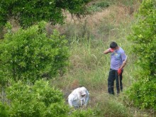 Наш отдых в САНМЕРРИ ( Бельдиби)